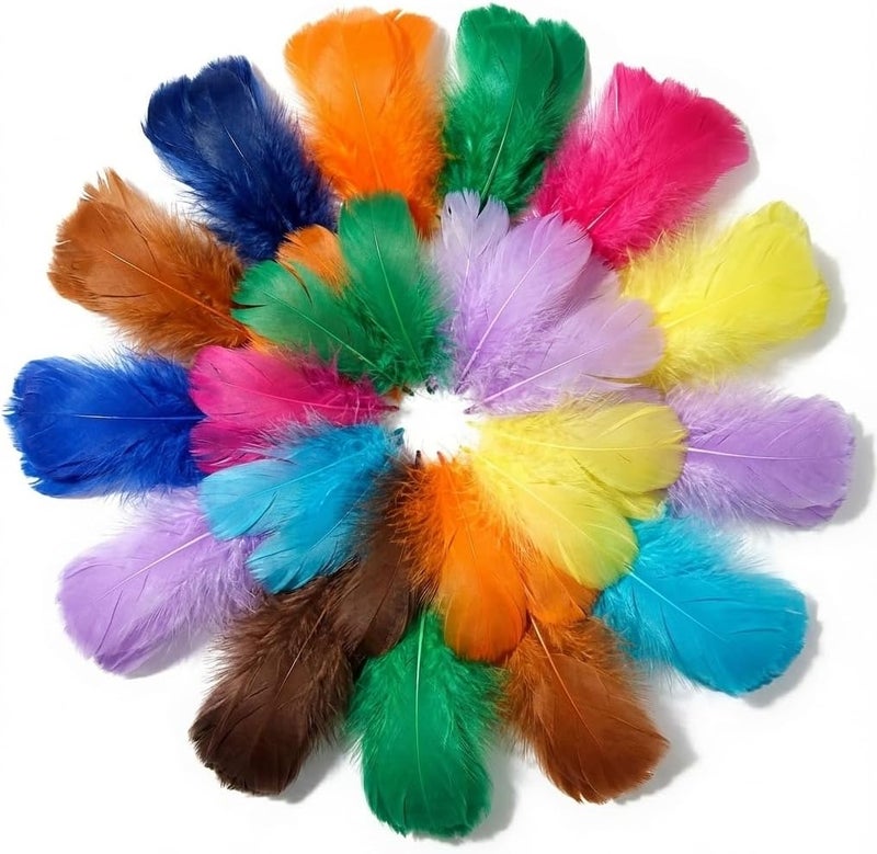Lamar Feather 300pcs Colorful Feathers 2-3 Inches Bulk Feathers for Crafting, Dream Catcher Accessories, Art Projects, DIY Crafting, Handi Crafts, Party Decoration (Colorful) - Image 5